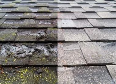 Side by side: moss-covered, deteriorating shingles next to the same roof cleaned and re-shingled